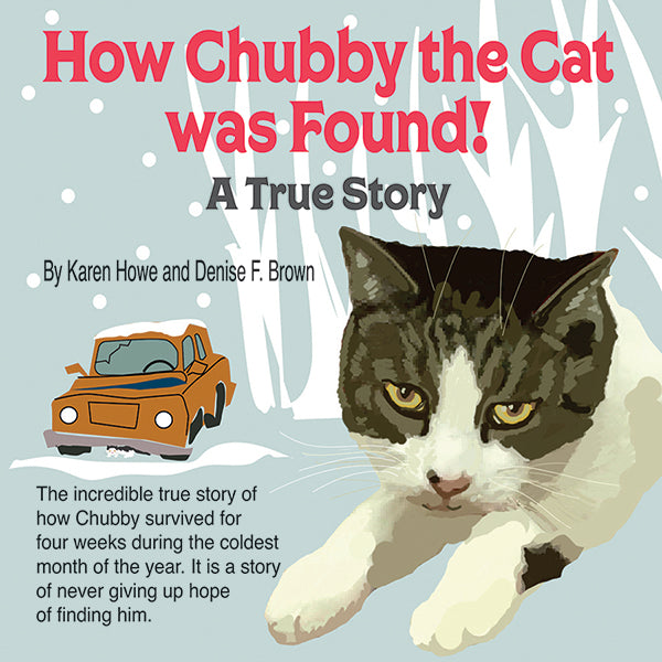 How Chubby the Cat Was Found