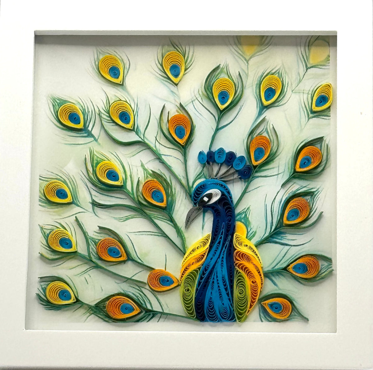 Framed Quilled Peacock Feather Display – 6" x 6"